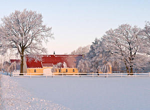 Denmark Winter